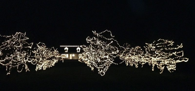 Wide view of the property outlined in thousands of lights
