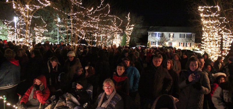 Crowd gathered beneath trees wrapped in thousands of warm lights