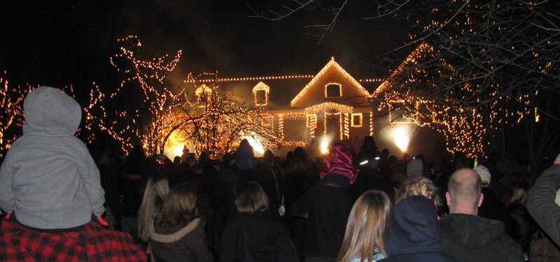 Crowd watching the glowing display through the trees