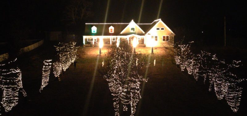 House glowing warm white behind trees wrapped in lights